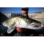 Ripper REDBASS KICKER L - 100 mm
