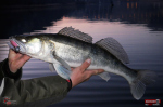 Ripper REDBASS KICKER L - 100 mm
