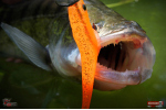 Ripper REDBASS KICKER L - 100 mm