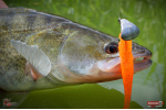 Ripper REDBASS KICKER L - 100 mm