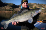 Ripper REDBASS KICKER L - 100 mm