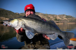 Ripper REDBASS KICKER L - 100 mm