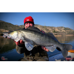 Ripper REDBASS KICKER L - 100 mm