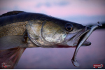 Ripper REDBASS KICKER L - 100 mm