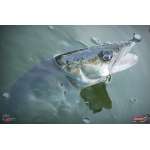Ripper REDBASS KICKER L - 100 mm