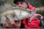 Ripper REDBASS KICKER L - 100 mm
