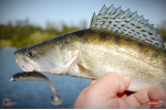 Ripper REDBASS KICKER L - 100 mm