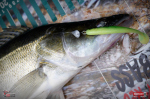 Ripper REDBASS KICKER L - 100 mm