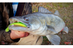 Ripper REDBASS KICKER L - 100 mm