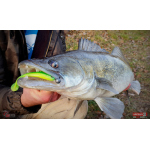Ripper REDBASS KICKER L - 100 mm