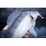 Ripper REDBASS KICKER L - 100 mm