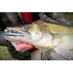 Ripper REDBASS KICKER L - 100 mm