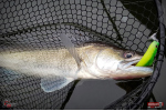 Ripper REDBASS KICKER L - 100 mm