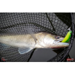 Ripper REDBASS KICKER L - 100 mm