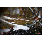 Ripper REDBASS KICKER L - 100 mm