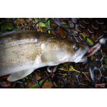 Ripper REDBASS KICKER L - 100 mm
