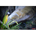 Ripper REDBASS KICKER L - 100 mm