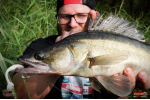 Ripper REDBASS KICKER L - 100 mm