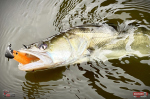 Ripper REDBASS KICKER L - 100 mm