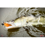 Ripper REDBASS KICKER L - 100 mm