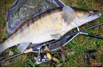 Ripper REDBASS KICKER L - 100 mm