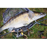 Ripper REDBASS KICKER L - 100 mm