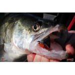 Ripper REDBASS KICKER L - 100 mm