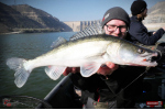 Ripper REDBASS KICKER L - 100 mm