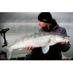 Ripper REDBASS KICKER L - 100 mm