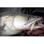 Ripper REDBASS KICKER L - 100 mm