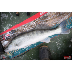 Ripper REDBASS KICKER L - 100 mm