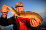 Ripper REDBASS KICKER L - 100 mm