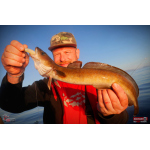 Ripper REDBASS KICKER L - 100 mm