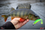 Ripper REDBASS KICKER L - 100 mm