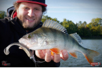 Ripper REDBASS KICKER L - 100 mm