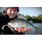 Ripper REDBASS KICKER L - 100 mm