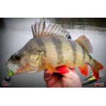 Ripper REDBASS KICKER L - 100 mm