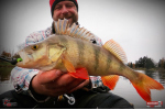 Ripper REDBASS KICKER L - 100 mm