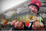 Ripper REDBASS KICKER L - 100 mm