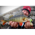 Ripper REDBASS KICKER L - 100 mm