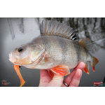 Ripper REDBASS KICKER L - 100 mm