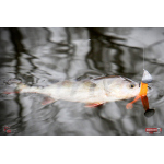 Ripper REDBASS KICKER L - 100 mm