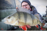 Ripper REDBASS KICKER L - 100 mm