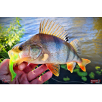 Ripper REDBASS KICKER L - 100 mm