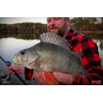 Ripper REDBASS KICKER L - 100 mm