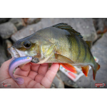 Ripper REDBASS KICKER L - 100 mm