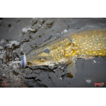 Ripper REDBASS KICKER L - 100 mm