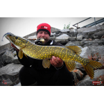 Ripper REDBASS KICKER L - 100 mm