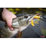 Ripper REDBASS KICKER L - 100 mm