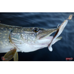 Ripper REDBASS KICKER L - 100 mm